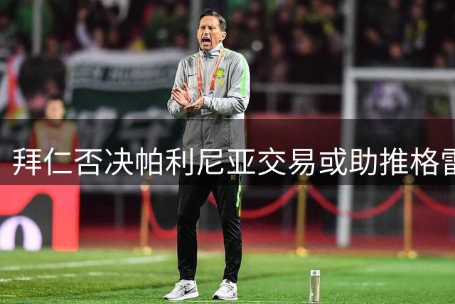 拜仁否决帕利尼亚交易或助推格雷茨卡转投维拉